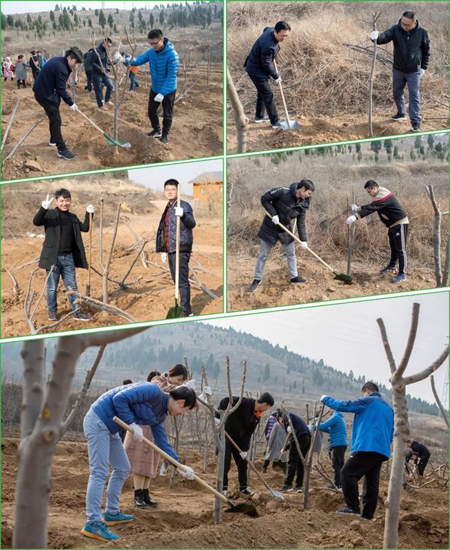 青春有約·綠滿(mǎn)泉城 | 集團(tuán)開(kāi)展義務(wù)植樹(shù)活動(dòng)